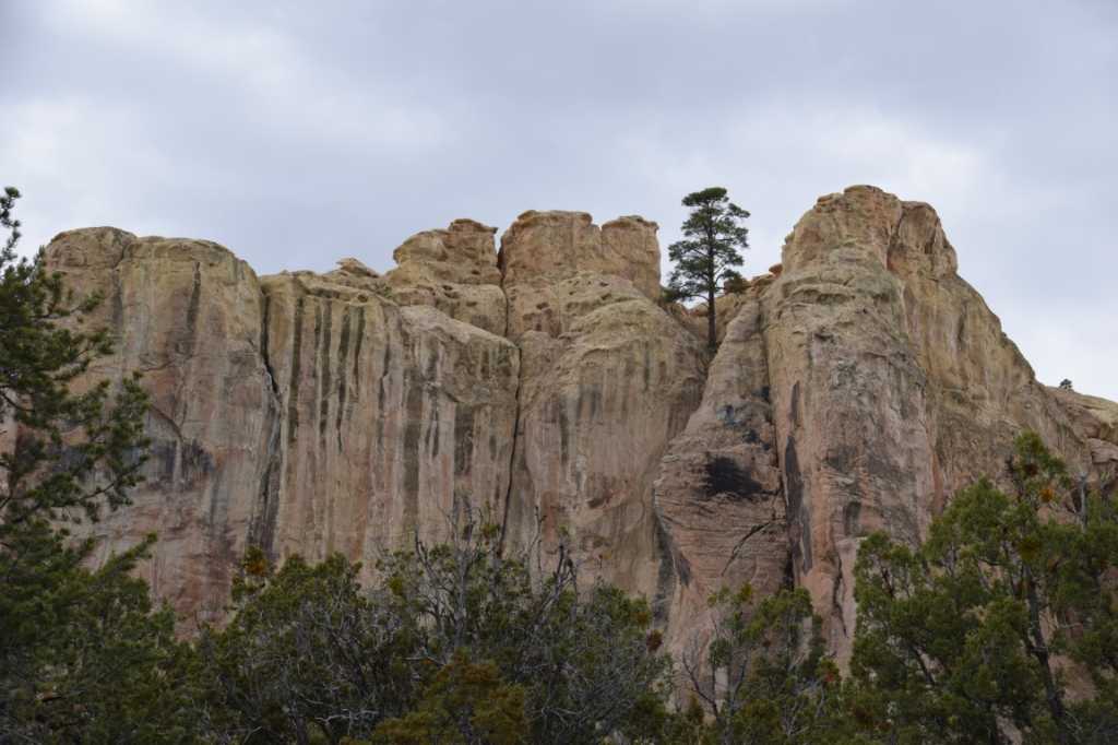 DSC_0696Mittel_.JPG